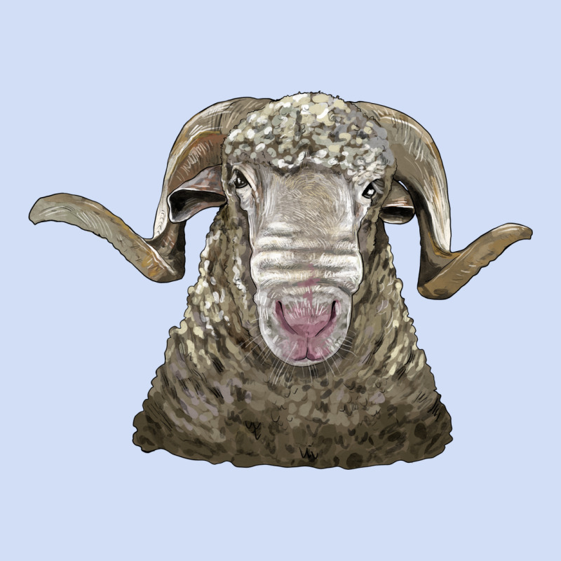 Rambouillet Sheep Head Urban Hoodie by LillyAllenDesigns | Teevron