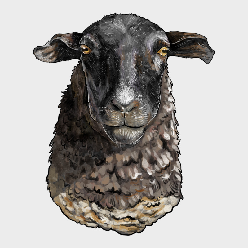 Dorper Sheep Head Urban Hoodie by LillyAllenDesigns | Teevron