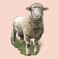 Dorset Sheep Urban Hoodie | Teevron