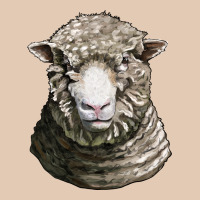 Dorset Sheep Head Urban Hoodie | Teevron