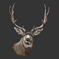 Mule Buck Deer Head | Teevron