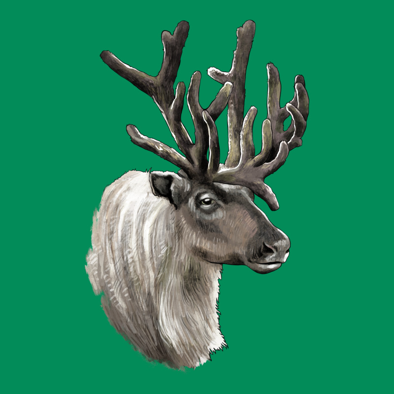 Reindeer Buck Deer Head Urban Hoodie by LillyAllenDesigns | Teevron