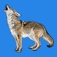 Howling Coyote Premium Hoodie | Teevron