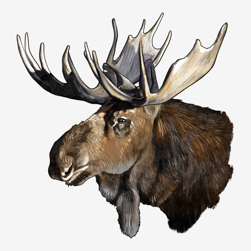 Moose Buck Deer Head Urban Hoodie by LillyAllenDesigns | Teevron