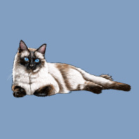 Siamese Urban Hoodie | Teevron