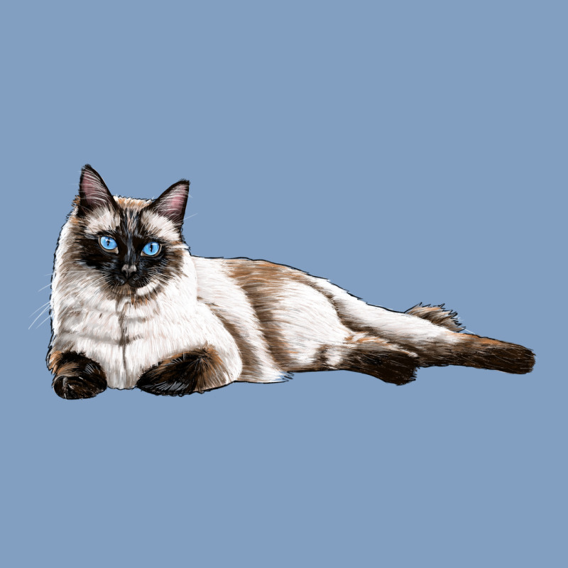 Siamese Urban Hoodie by LillyAllenDesigns | Teevron