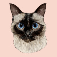 Siamese Face Urban Hoodie | Teevron