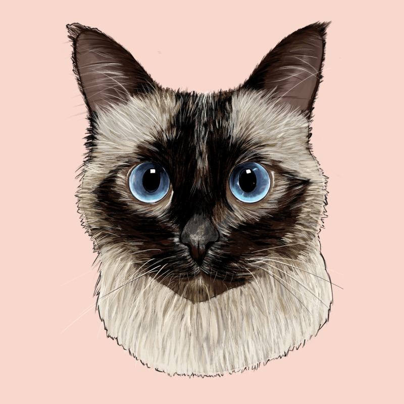 Siamese Face Urban Hoodie by LillyAllenDesigns | Teevron
