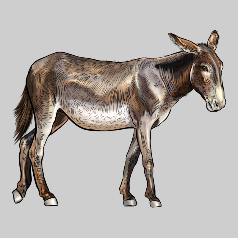 American Mammoth Jackstock Donkey Premium Tee by LillyAllenDesigns | Teevron