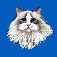 Ragdoll Face Cat Urban Hoodie | Teevron