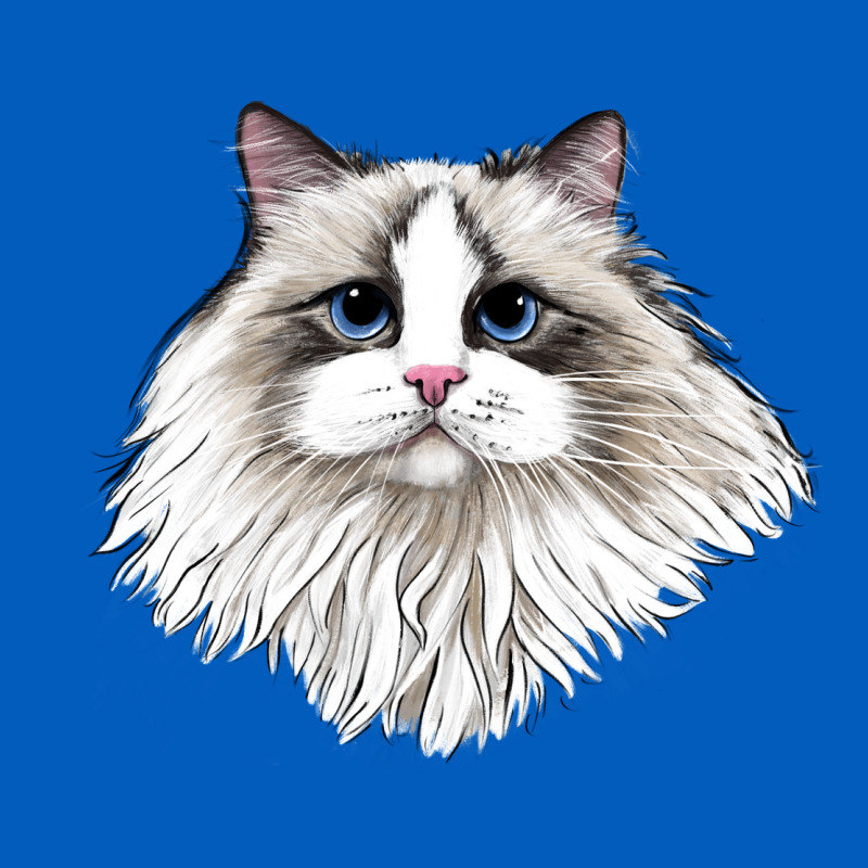 Ragdoll Face Cat Urban Hoodie by LillyAllenDesigns | Teevron