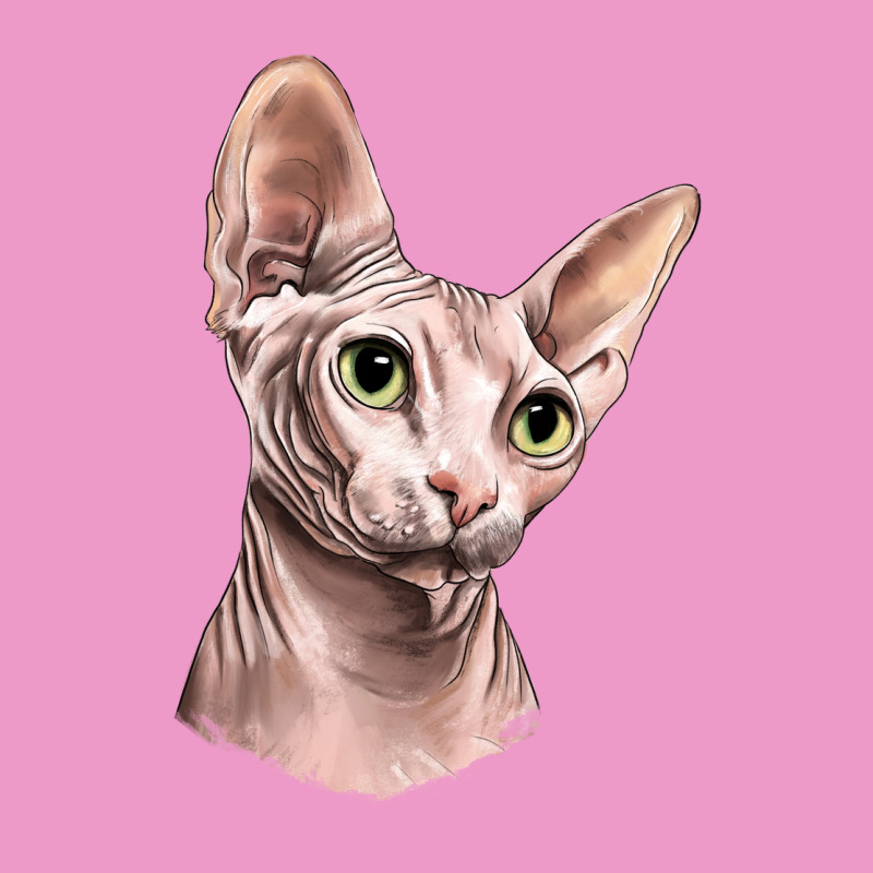 Sphynx Cat Urban Hoodie by LillyAllenDesigns | Teevron