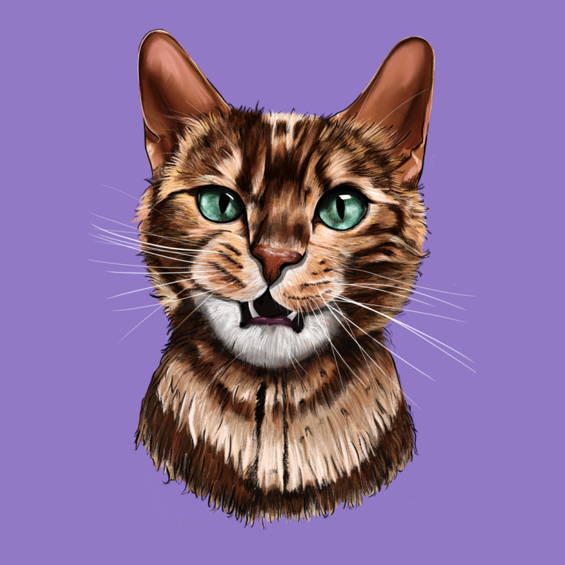 Bengal Cat Face Urban Hoodie by LillyAllenDesigns | Teevron