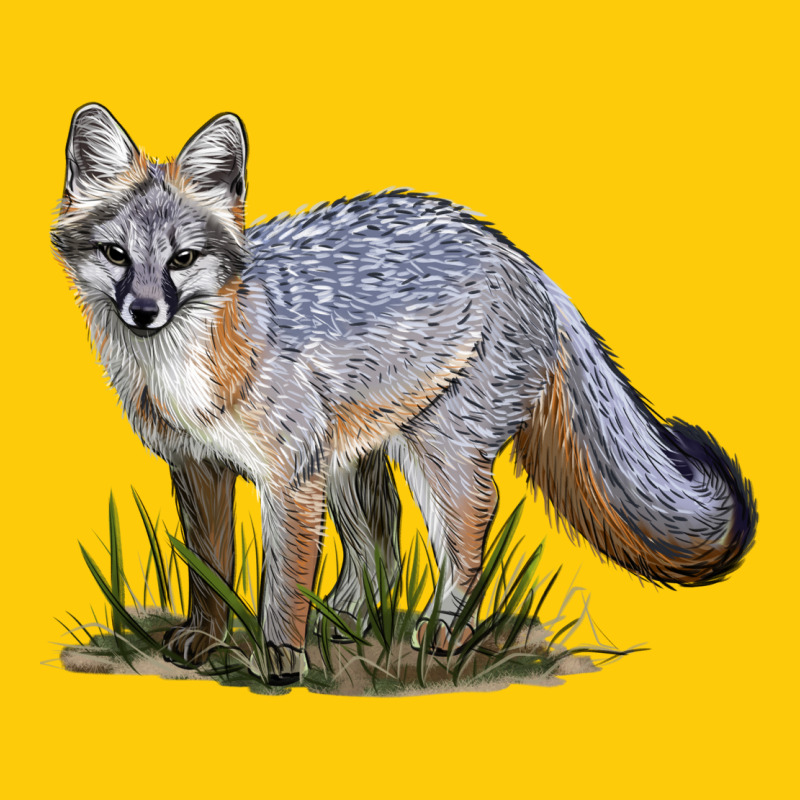 Gray Fox Premium Hoodie by LillyAllenDesigns | Teevron