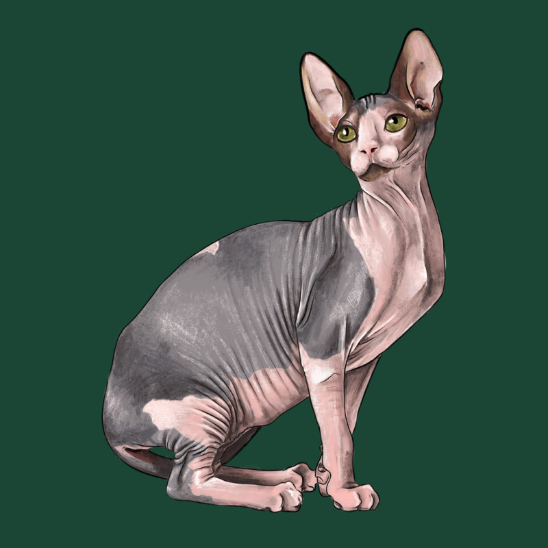 Sphynx Cat Urban Hoodie by LillyAllenDesigns | Teevron