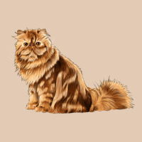 Persian Cat Urban Hoodie | Teevron