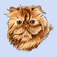 Persian Cat Face Urban Hoodie | Teevron