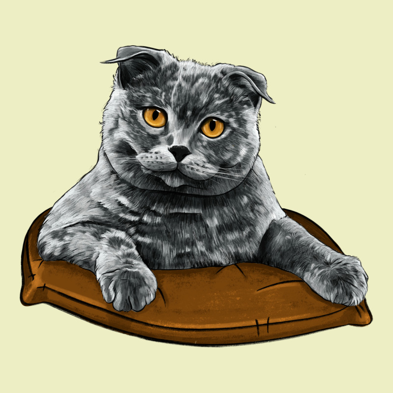 Scottish Fold Urban Hoodie by LillyAllenDesigns | Teevron
