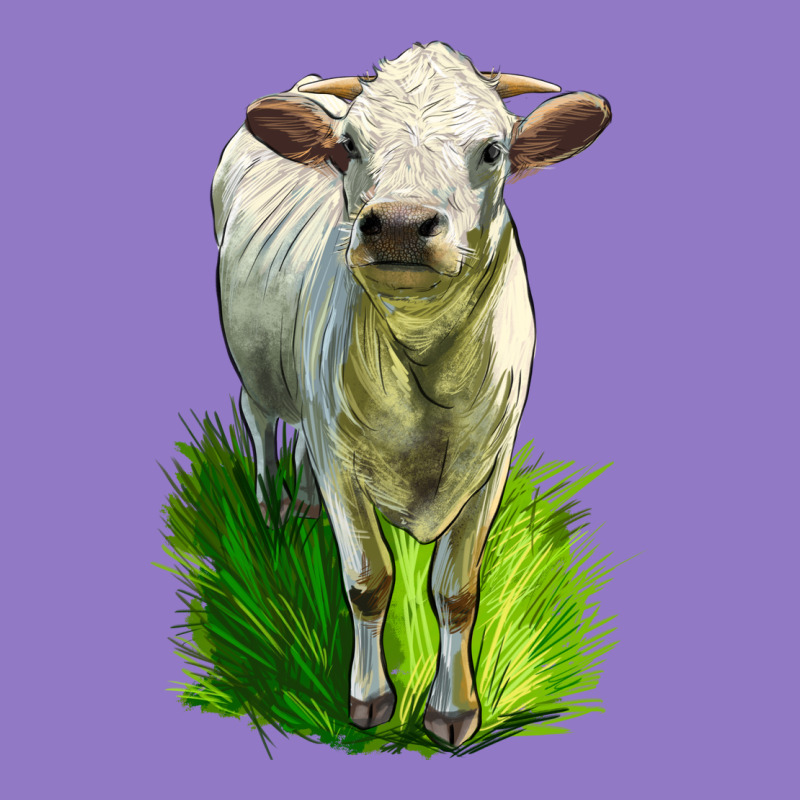 Charolais Heifer Urban Hoodie by LillyAllenDesigns | Teevron