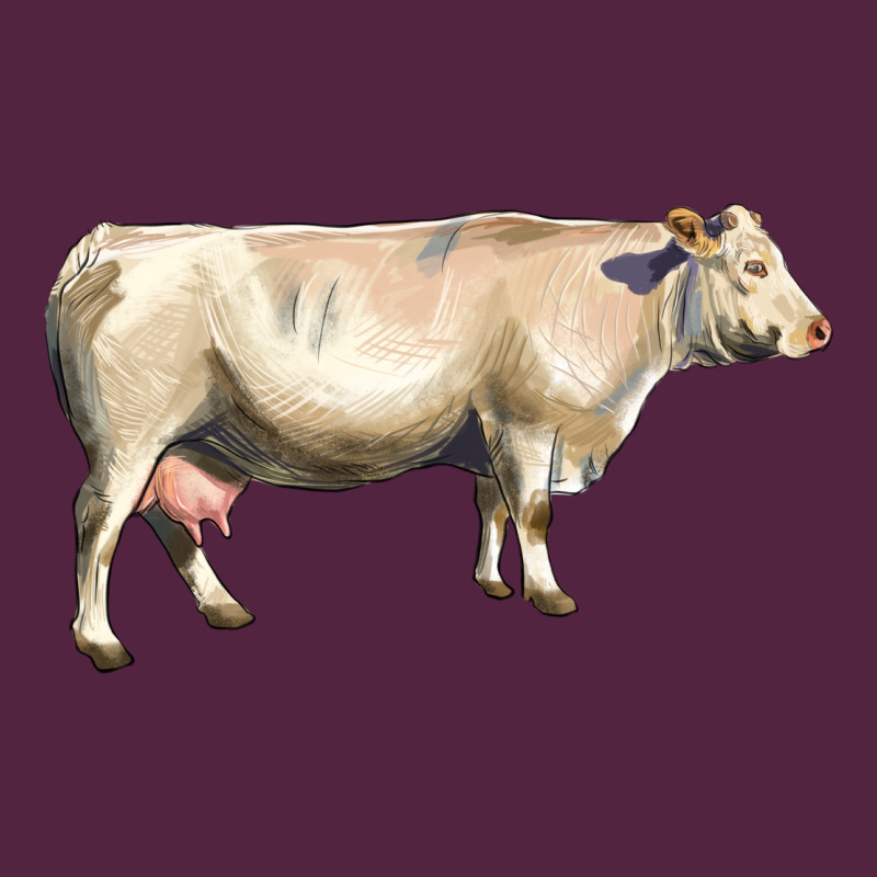 Charolais Cattle Urban Hoodie by LillyAllenDesigns | Teevron
