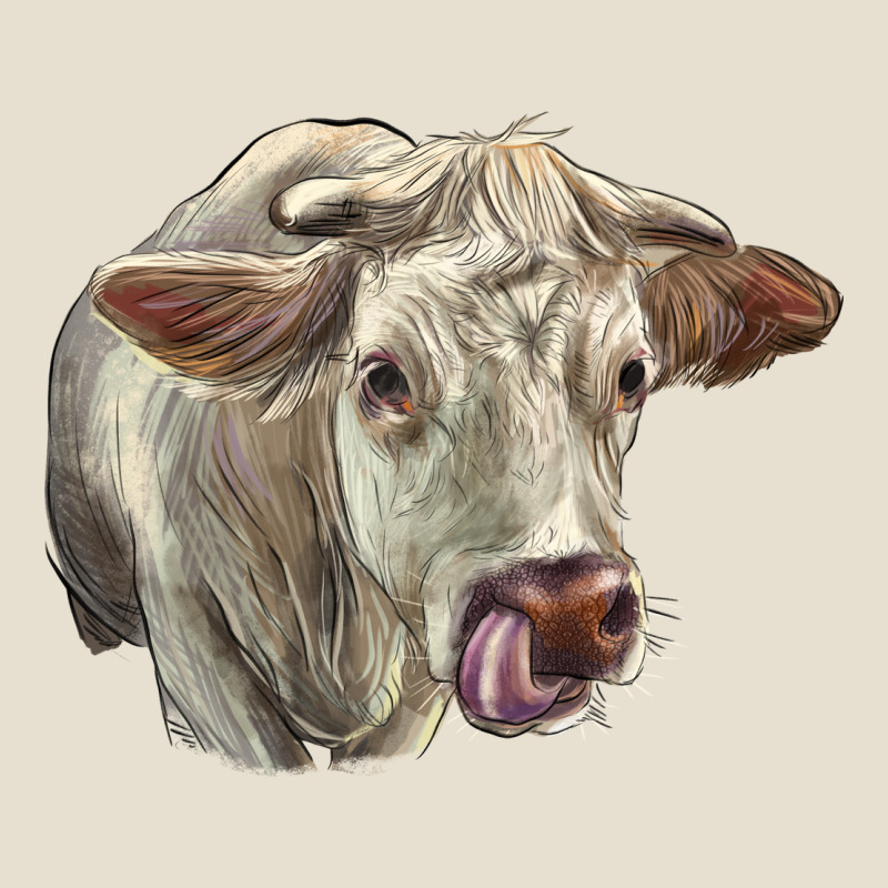 Charolais Cattle Face Urban Hoodie by LillyAllenDesigns | Teevron