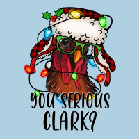 You Serious Clark Christmas Vacation Rooster Premium Hoodie | Teevron