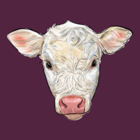 Charolais Calf Face Urban Hoodie | Teevron
