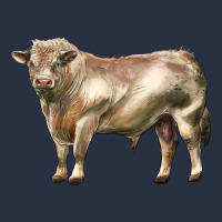 Charolais Bull Urban Hoodie | Teevron