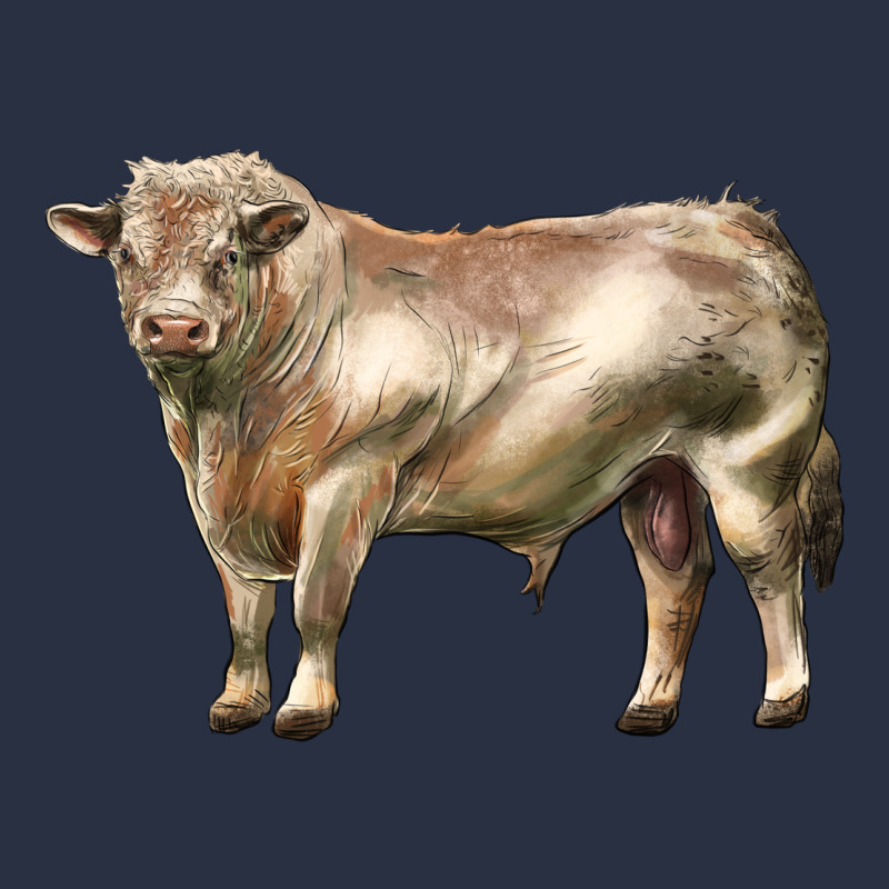 Charolais Bull Urban Hoodie by LillyAllenDesigns | Teevron