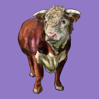 Hereford Bull Face Urban Hoodie | Teevron