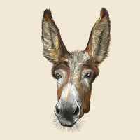 American Mammoth Jackstock Donkey  Face Premium Tee | Teevron