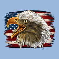 American Flag Eagle Premium Hoodie | Teevron