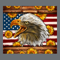 American Flag Eagle Premium Hoodie | Teevron