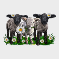 Baby Sheeps With Daisies Urban Hoodie | Teevron