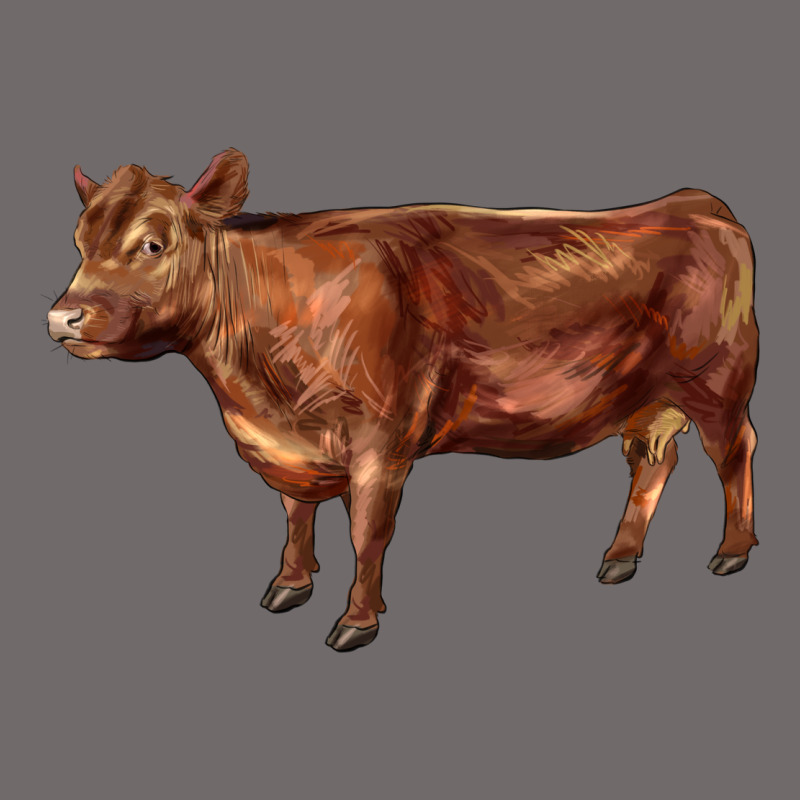 Red Angus Cow Urban Hoodie by LillyAllenDesigns | Teevron