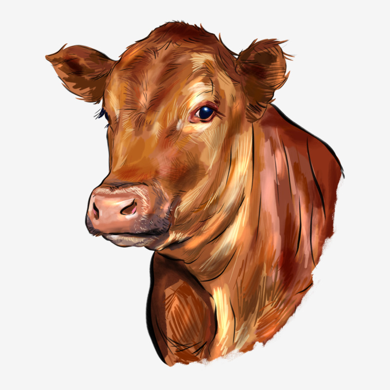 Red Angus Cattle Cow Urban Hoodie by LillyAllenDesigns | Teevron