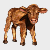 Red Angus Calf Urban Hoodie | Teevron