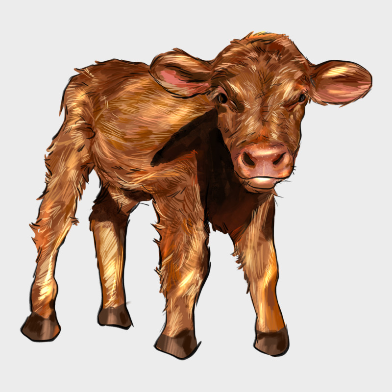 Red Angus Calf Urban Hoodie by LillyAllenDesigns | Teevron