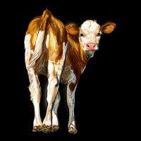 Simmental Calf Urban Hoodie | Teevron