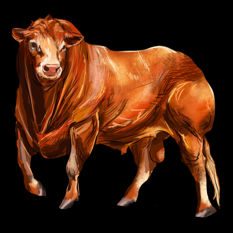 Red Angus Bull Urban Hoodie by LillyAllenDesigns | Teevron