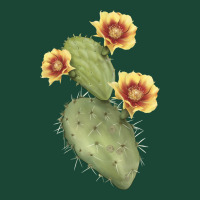Opuntia Phaeacantha Urban Hoodie | Teevron