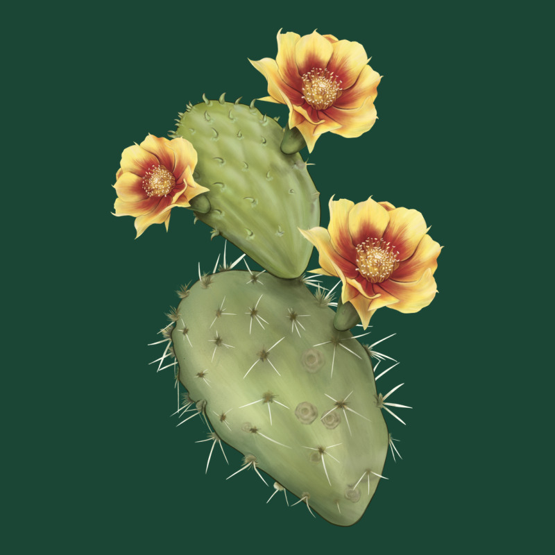 Opuntia Phaeacantha Urban Hoodie by LillyAllenDesigns | Teevron