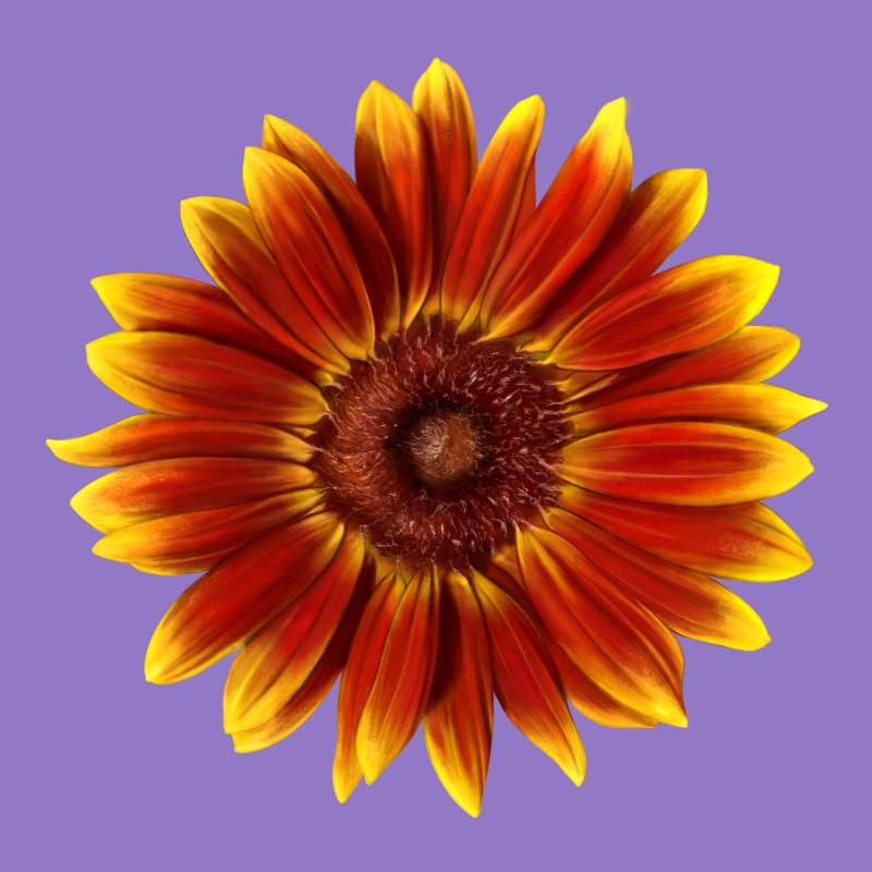Little Becka Sunflower Urban Hoodie by LillyAllenDesigns | Teevron