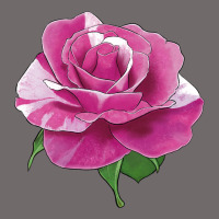 Parade Day Rose Urban Hoodie | Teevron