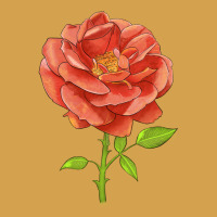 All A Twitter Rose Urban Hoodie | Teevron