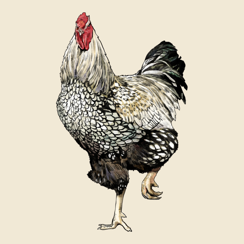 Wyandotte Rooster Premium Tee by LillyAllenDesigns | Teevron