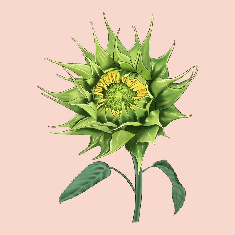Sun Fill Green Green Sunflower Urban Hoodie by LillyAllenDesigns | Teevron