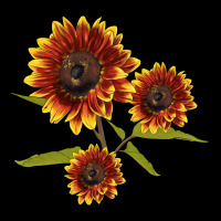 Ring O Fine Sunflower Urban Hoodie | Teevron
