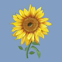 Bambino Sunflower Urban Hoodie | Teevron