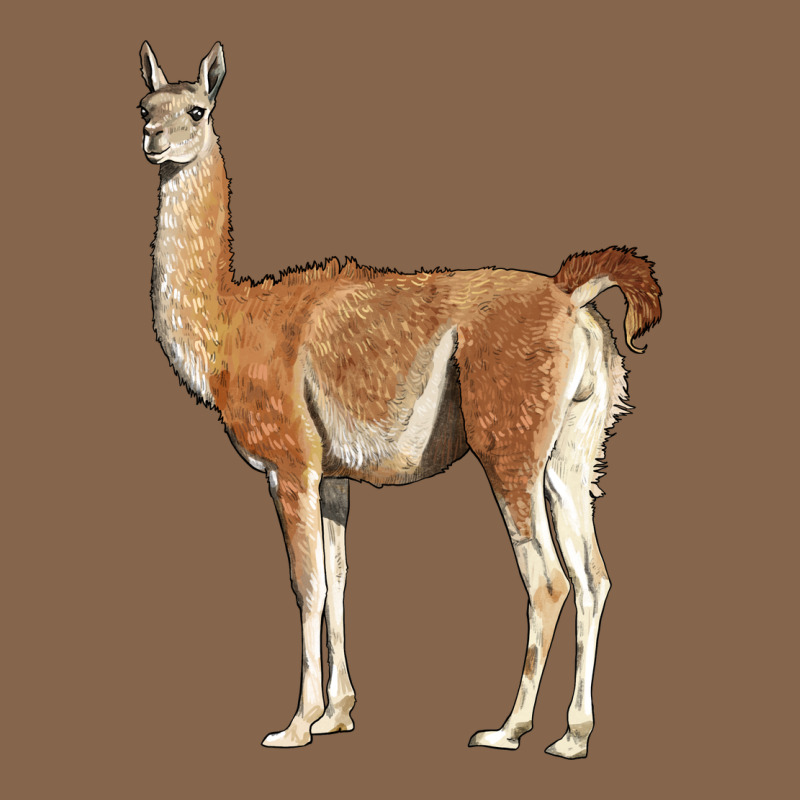 Guanaco Llama Premium Tee by LillyAllenDesigns | Teevron